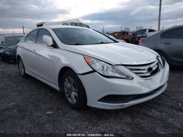 HYUNDAI SONATA 2014 5npeb4ac9eh891772