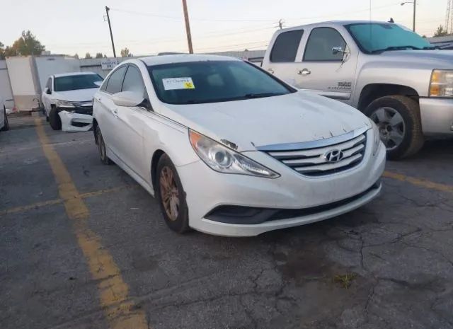 HYUNDAI SONATA 2014 5npeb4ac9eh899774