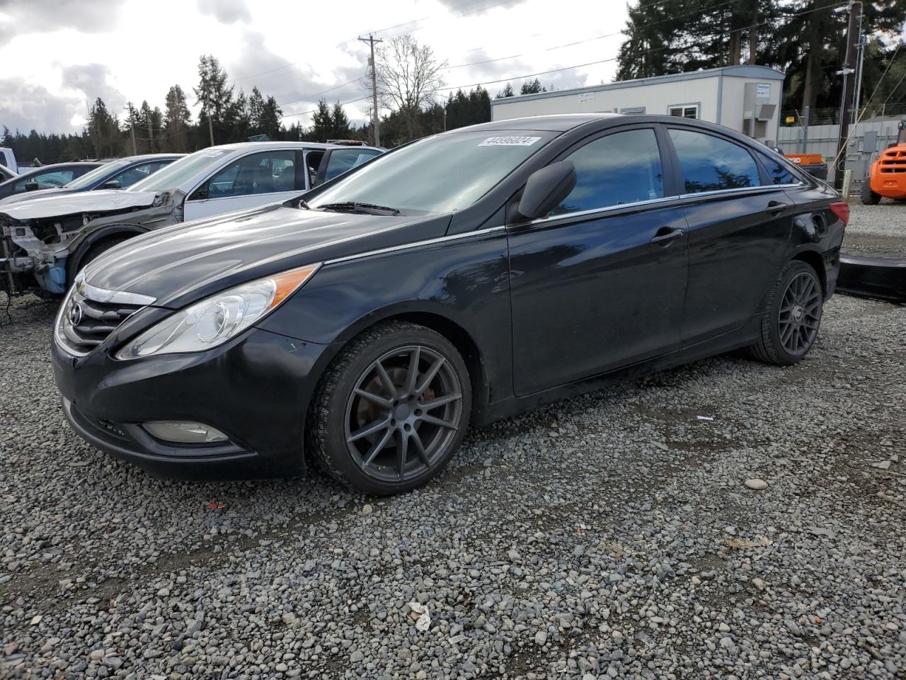 HYUNDAI SONATA 2013 5npeb4acxdh530405