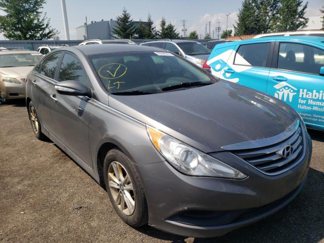 HYUNDAI SONATA GLS 2014 5npeb4acxeh812271