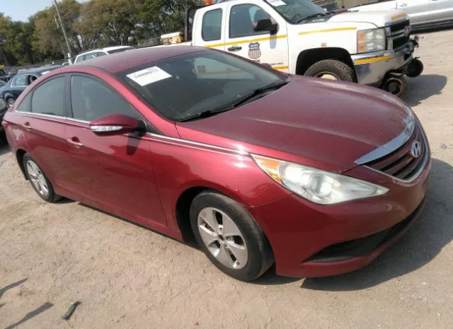 HYUNDAI SONATA 2014 5npeb4acxeh831029