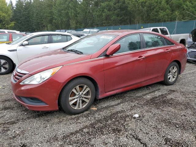 HYUNDAI SONATA GLS 2014 5npeb4acxeh869392