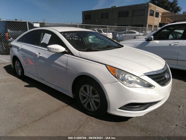 HYUNDAI SONATA 2014 5npeb4acxeh876519