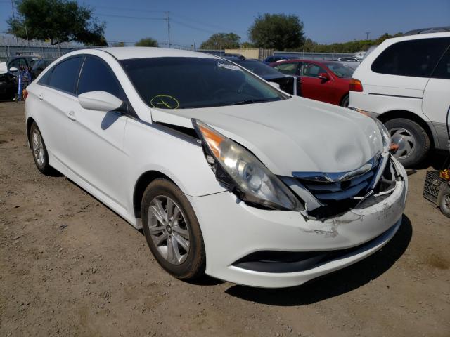 HYUNDAI SONATA GLS 2014 5npeb4acxeh901354