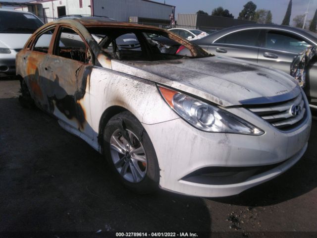 HYUNDAI SONATA 2014 5npeb4acxeh930241