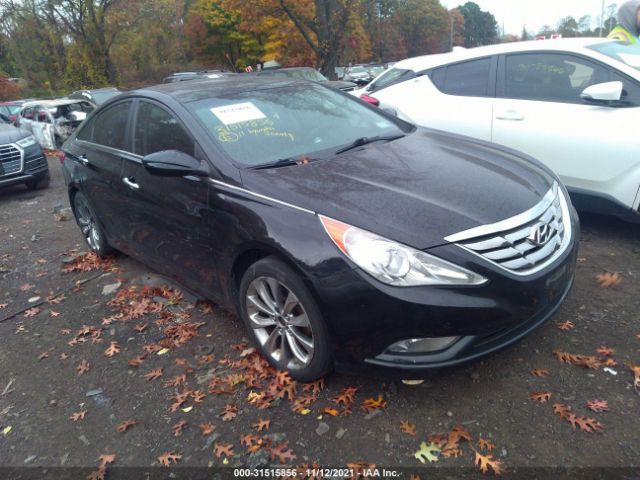 HYUNDAI SONATA 2011 5npec4ab0bh173477