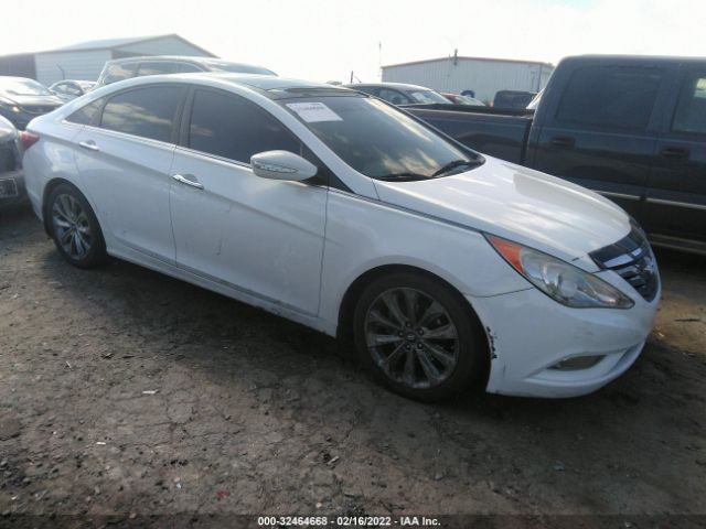 HYUNDAI SONATA 2013 5npec4ab0dh573655