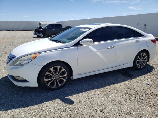 HYUNDAI SONATA 2014 5npec4ab0eh855506