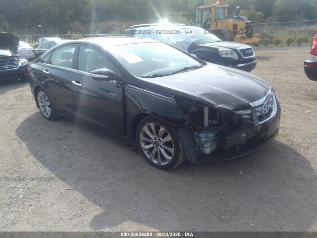 HYUNDAI SONATA 2013 5npec4ab1dh520768