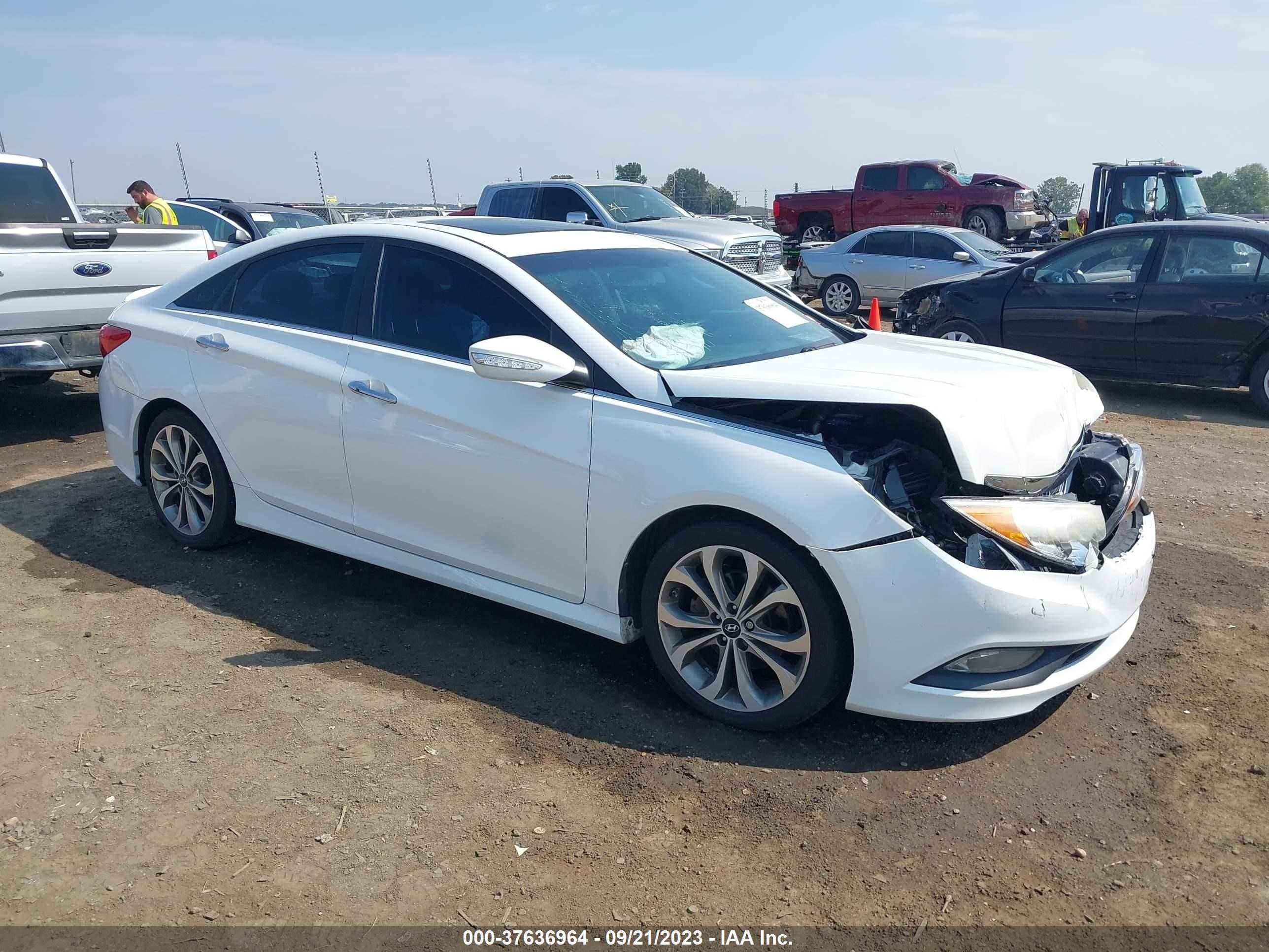 HYUNDAI SONATA 2014 5npec4ab3eh851837