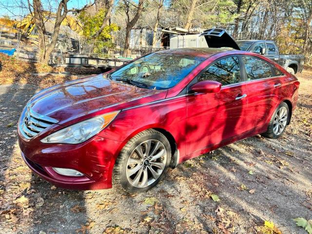 HYUNDAI SONATA 2013 5npec4ab4dh505195