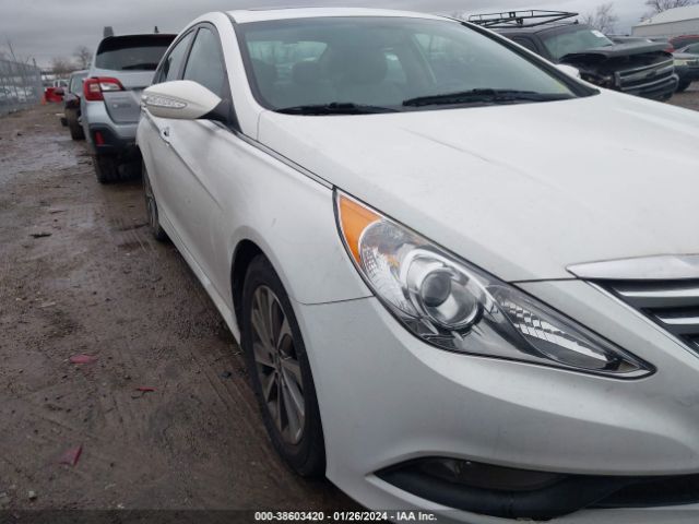 HYUNDAI SONATA 2014 5npec4ab4eh886368