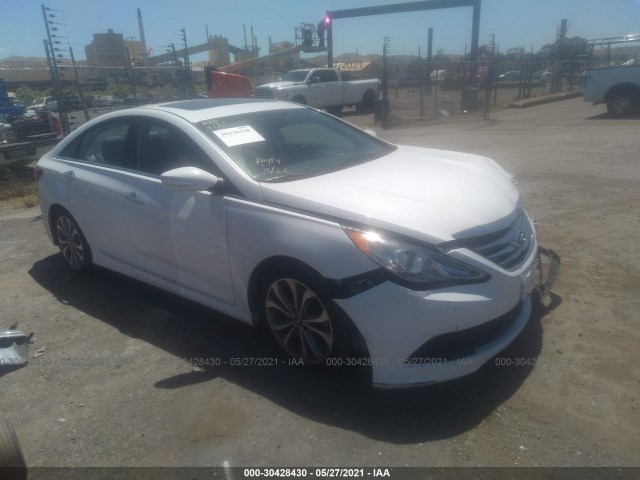 HYUNDAI SONATA 2014 5npec4ab5eh845084