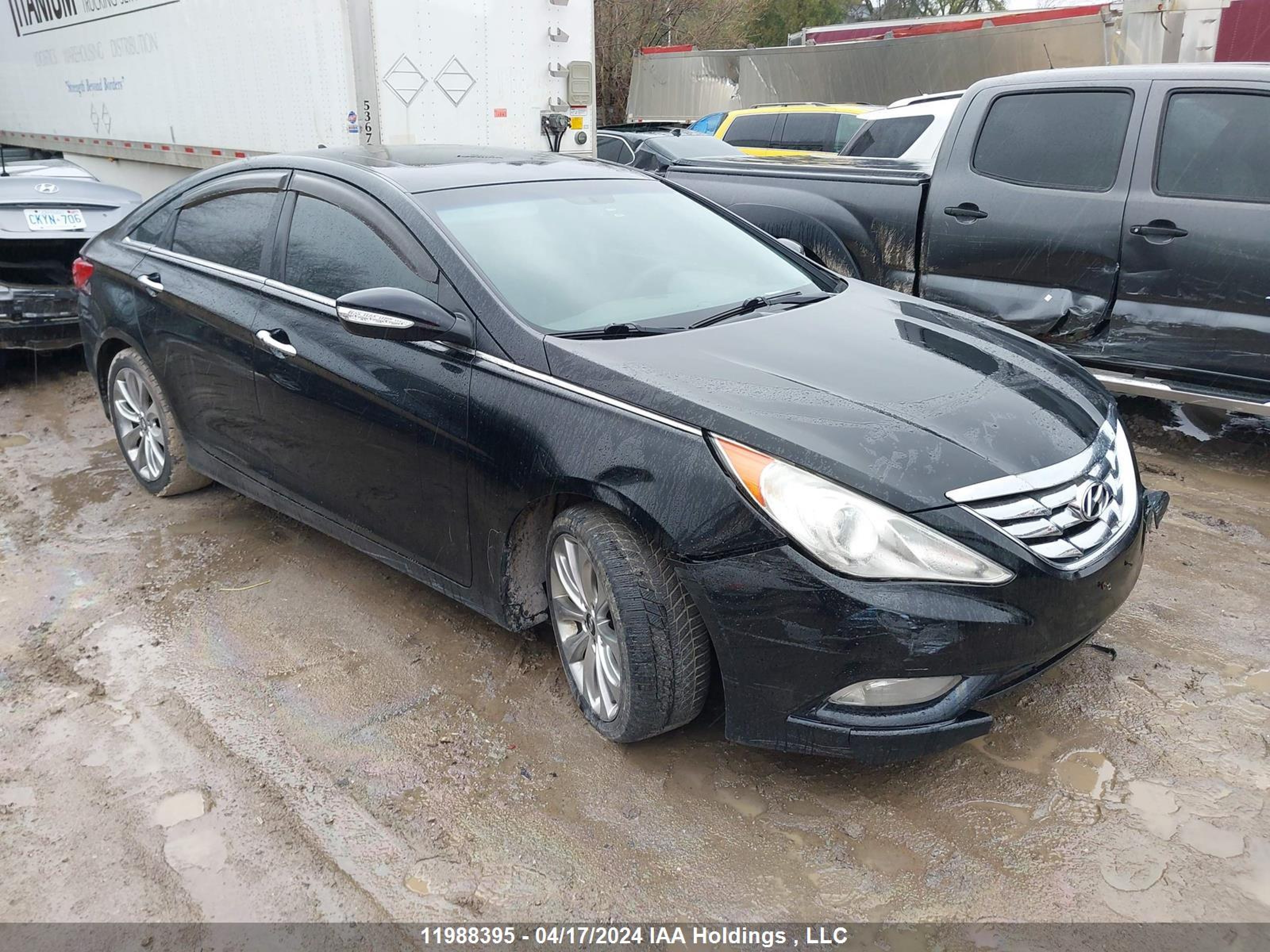 HYUNDAI SONATA 2011 5npec4ab6bh264446