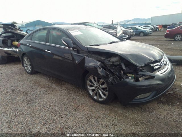 HYUNDAI SONATA 2013 5npec4ab6dh518269