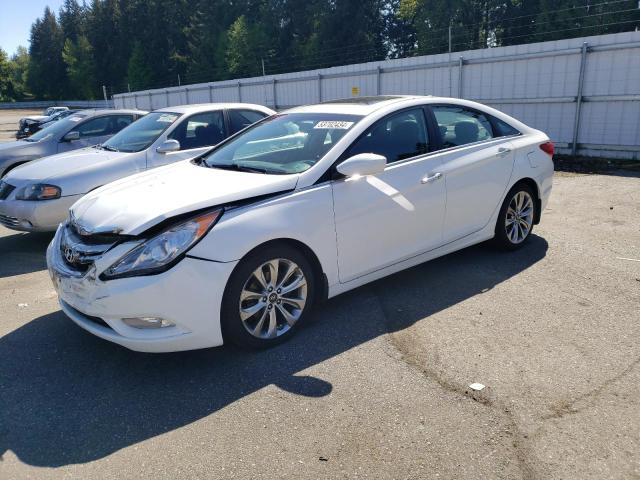 HYUNDAI SONATA 2013 5npec4ab6dh544998