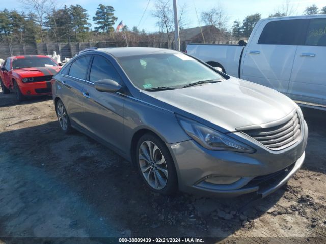 HYUNDAI SONATA 2013 5npec4ab6dh799859