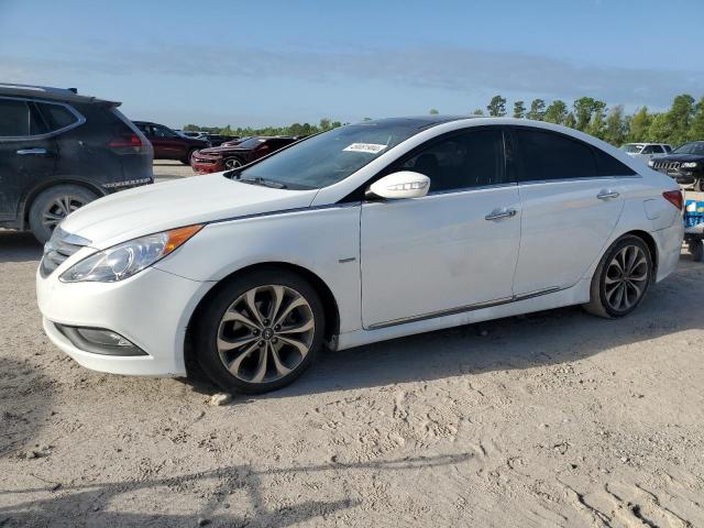 HYUNDAI SONATA 2014 5npec4ab6eh895556