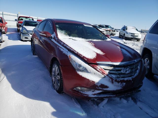 HYUNDAI SONATA SE 2013 5npec4ab7dh625086