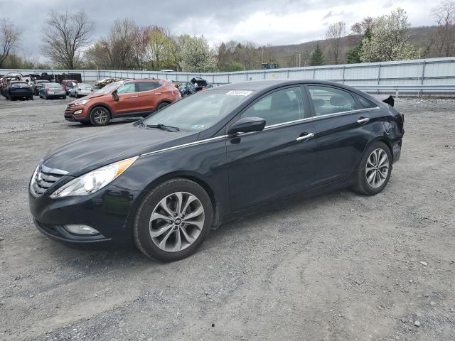 HYUNDAI SONATA 2013 5npec4ab7dh777899