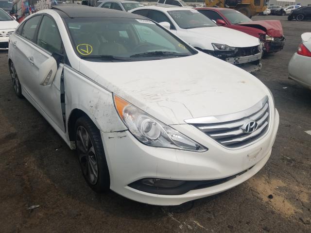 HYUNDAI SONATA SE 2014 5npec4ab7eh849265