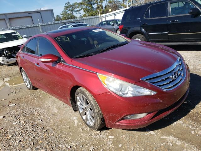 HYUNDAI SONATA 2013 5npec4ab8dh549331