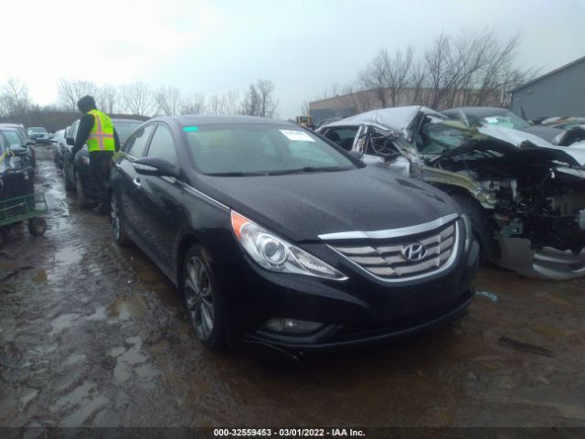 HYUNDAI SONATA 2013 5npec4ab8dh595063