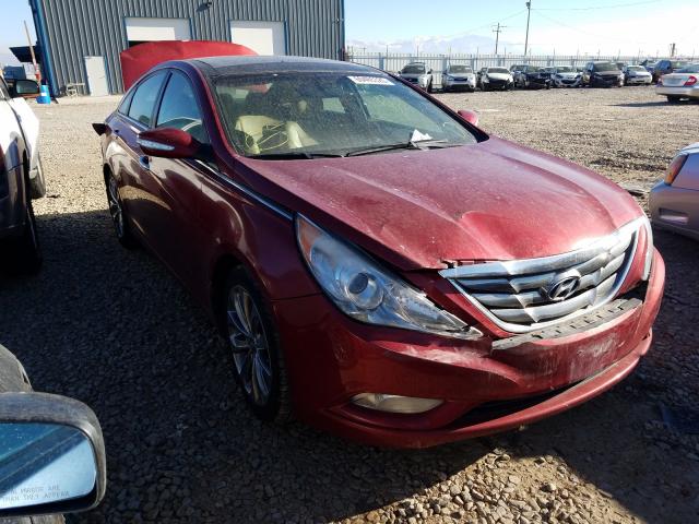 HYUNDAI SONATA SE 2013 5npec4abxdh560461