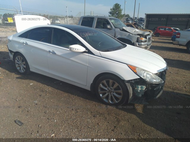 HYUNDAI SONATA 2013 5npec4abxdh560489