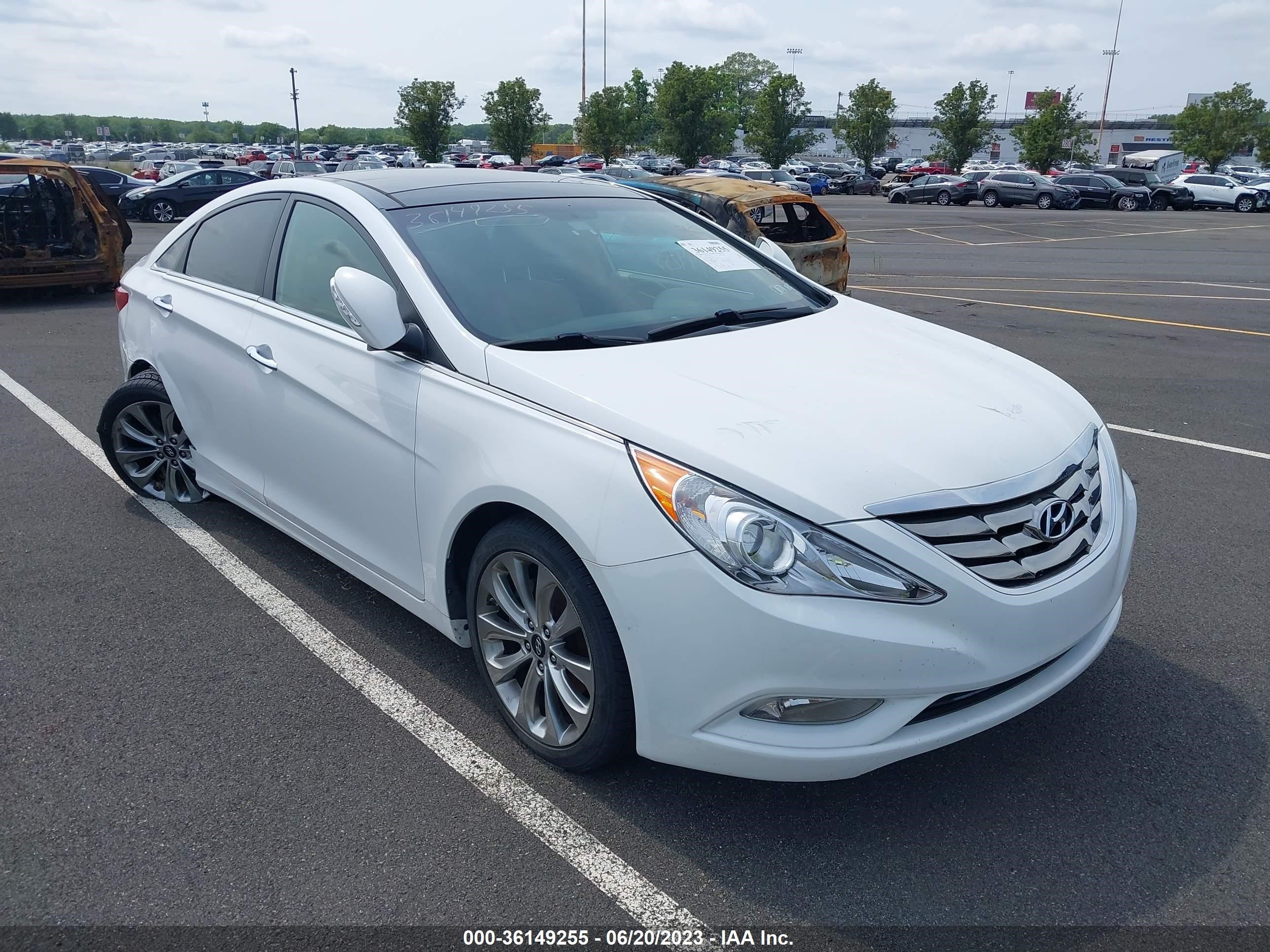 HYUNDAI SONATA 2013 5npec4abxdh560914