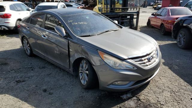 HYUNDAI SONATA SE 2013 5npec4abxdh725165