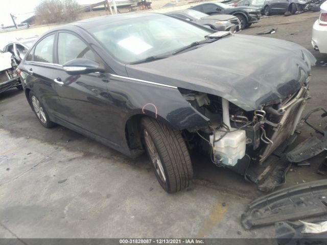 HYUNDAI SONATA 2014 5npec4abxeh919325