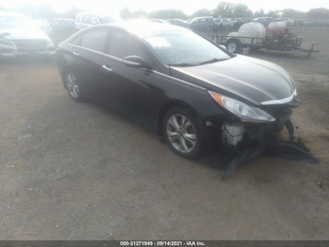 HYUNDAI SONATA 2013 5npec4ac0dh505249