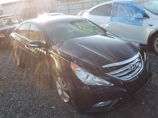 HYUNDAI SONATA SE 2013 5npec4ac0dh505641