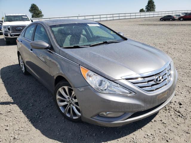 HYUNDAI SONATA SE 2013 5npec4ac0dh575835