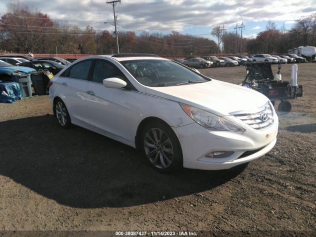 HYUNDAI SONATA 2013 5npec4ac0dh707329