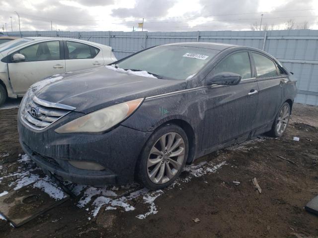 HYUNDAI SONATA 2013 5npec4ac0dh774335