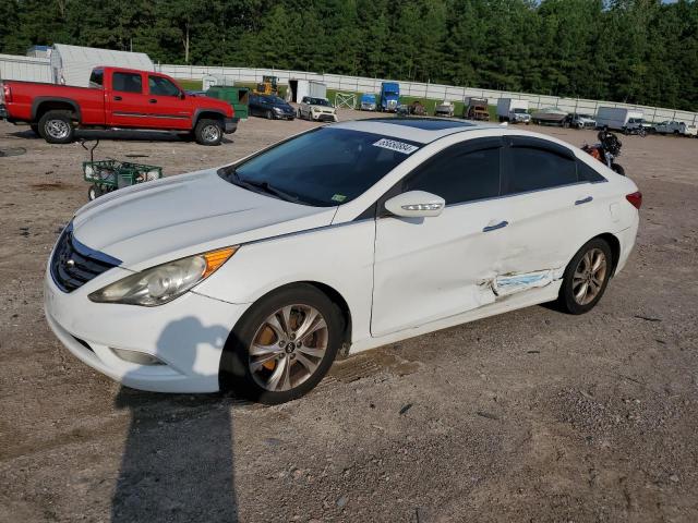 HYUNDAI SONATA 2011 5npec4ac1bh001354