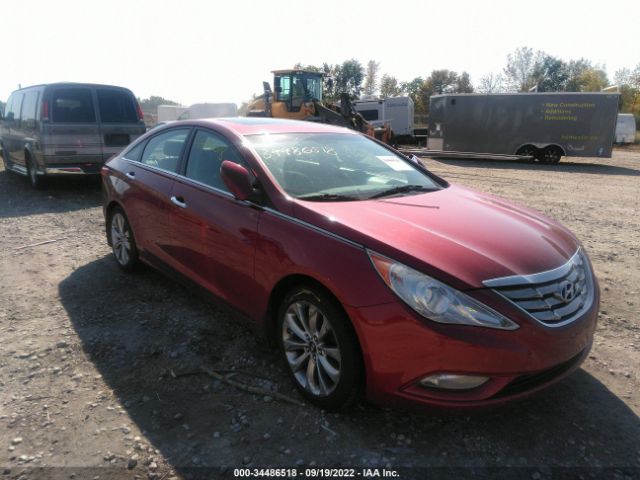 HYUNDAI SONATA 2011 5npec4ac1bh194766