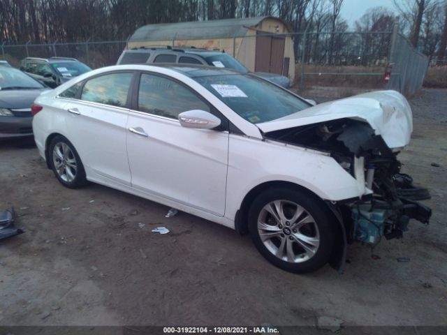 HYUNDAI SONATA 2013 5npec4ac1dh586195