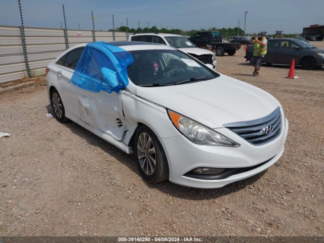 HYUNDAI SONATA 2014 5npec4ac1eh882397