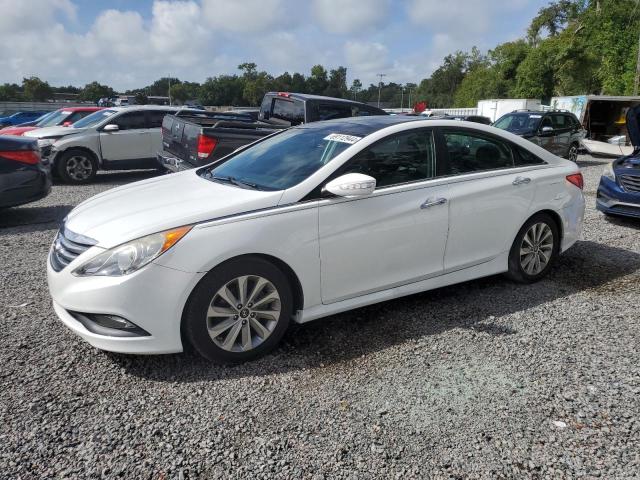 HYUNDAI SONATA SE 2014 5npec4ac1eh891763