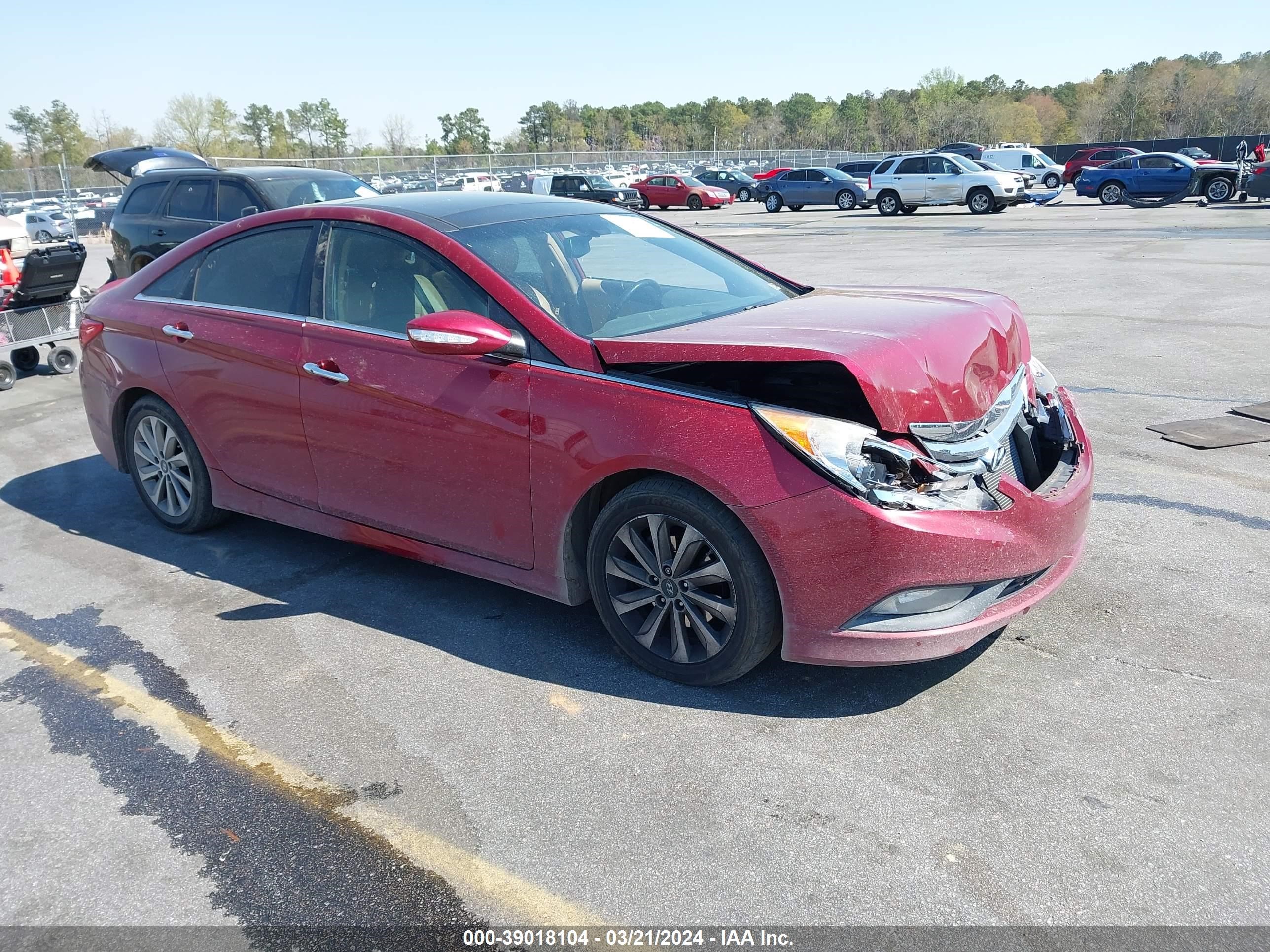 HYUNDAI SONATA 2014 5npec4ac1eh926334