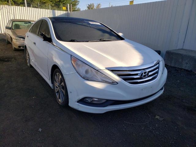 HYUNDAI SONATA SE 2014 5npec4ac2eh850350