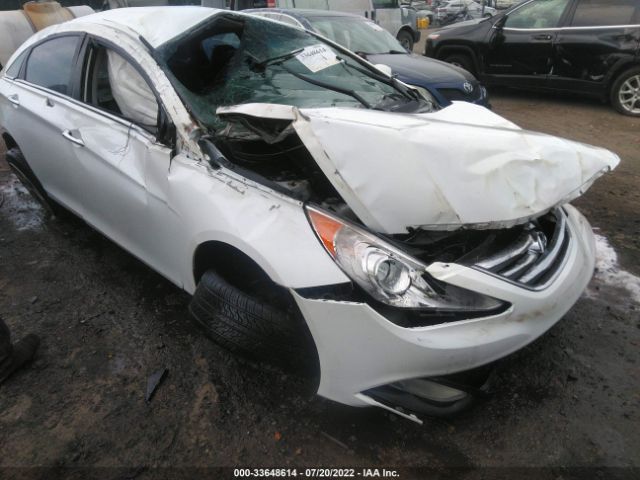 HYUNDAI SONATA 2014 5npec4ac2eh902267