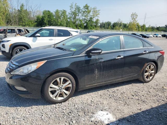 HYUNDAI SONATA 2011 5npec4ac3bh062298