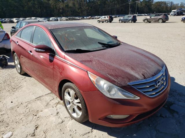 HYUNDAI SONATA 2011 5npec4ac3bh096452