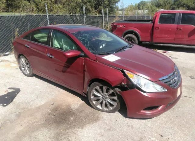 HYUNDAI SONATA 2011 5npec4ac3bh171750