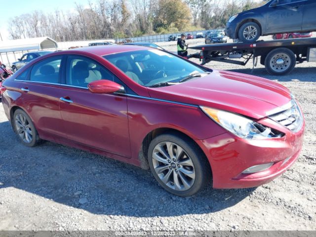 HYUNDAI SONATA 2013 5npec4ac3dh510297