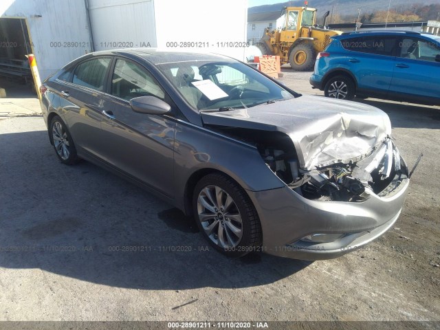 HYUNDAI SONATA 2013 5npec4ac3dh510428